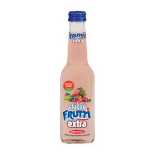 ULUDAĞ FRUTTİ EXTRA 250 ML ORMAN MEYVELİ. ürün görseli