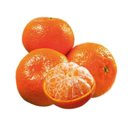 MANDALİNA İZMİR LÜX KG. ürün görseli