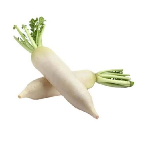 TURP JAPON  KG. ürün görseli