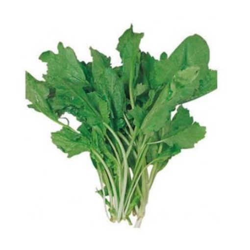 TERE ADET. ürün görseli